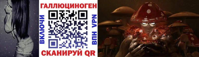 ОМГ ОМГ   Красавино  Псилоцибиновые грибы мицелий  наркота 